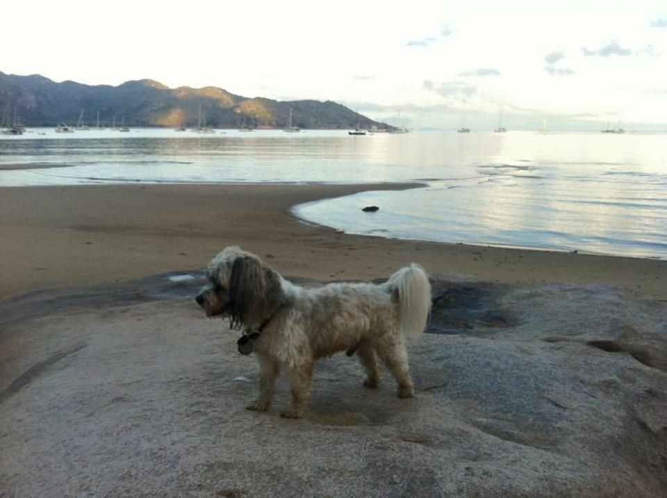 Executive Properties In North Ward Townsville And On Magnetic Island Exterior photo
